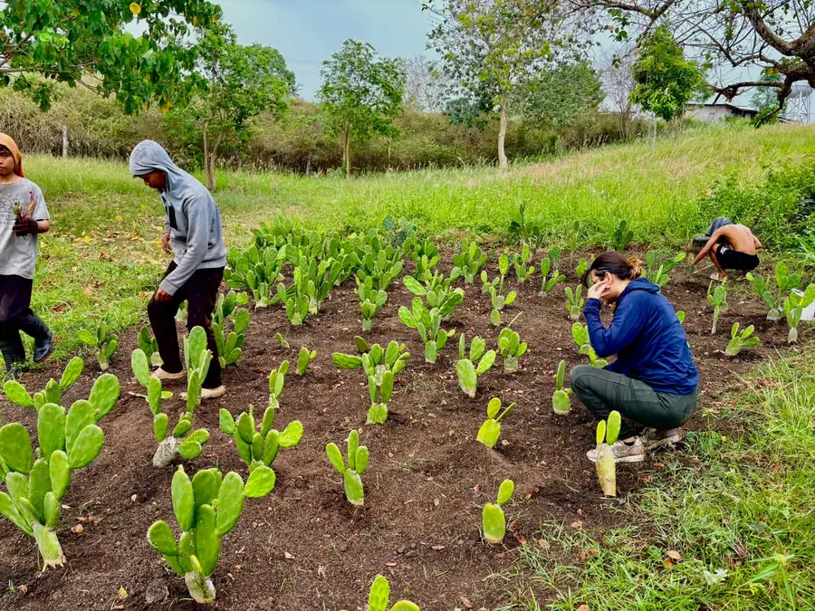 Volunteers helping in the B&Y farm field in Alabel, Sarangani